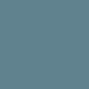 Tynk silikonowy CT74  kolor Caparol ARCTIS 100 1,5mm 25kg