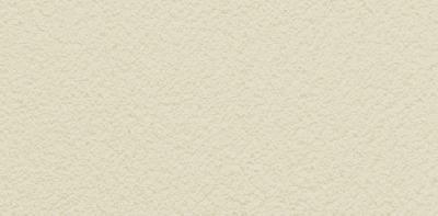 FZ391 Farba elewacyjna silikonowa kolor AL21   opakowanie 25kg