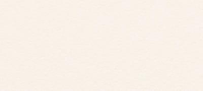 PASPREMIUM  Tynk silikonowy  1,5mm  kolor  AL11 opakowanie 30kg