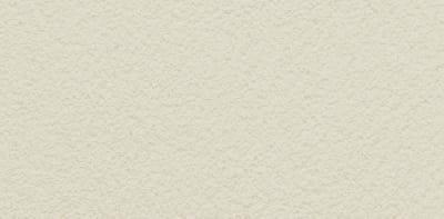 PASPREMIUM  Tynk silikonowy  1,5mm  kolor  AL12 opakowanie 30kg