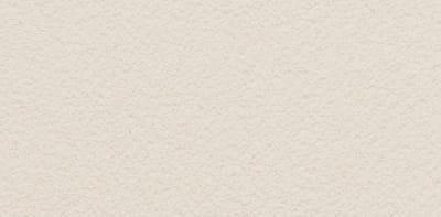 PASPREMIUM  Tynk silikonowy  1,5mm  kolor  AL13 opakowanie 30kg