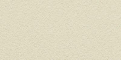 PASPREMIUM  Tynk silikonowy  1,5mm  kolor  AL21 opakowanie 30kg