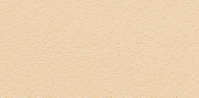 PASPREMIUM  Tynk silikonowy  1,5mm  kolor  AL51 opakowanie 30kg