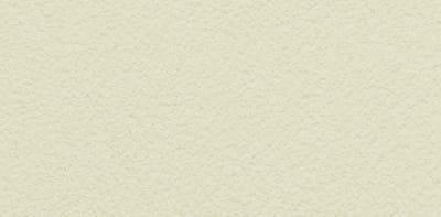 PASPREMIUM  Tynk silikonowy  1,5mm  kolor  BU11 opakowanie 30kg