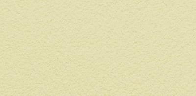 PASPREMIUM  Tynk silikonowy  1,5mm  kolor  BU12 opakowanie 30kg