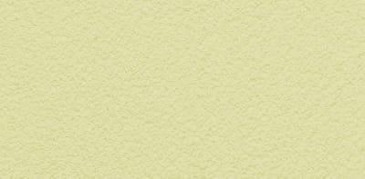 PASPREMIUM  Tynk silikonowy  1,5mm  kolor  BU13 opakowanie 30kg