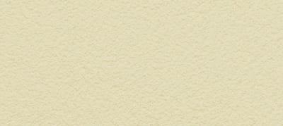 PASPREMIUM  Tynk silikonowy  1,5mm  kolor  BU21 opakowanie 30kg