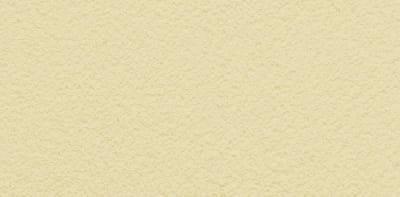 PASPREMIUM  Tynk silikonowy  1,5mm  kolor  BU51 opakowanie 30kg