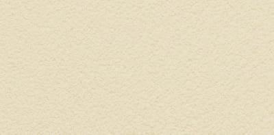 PASPREMIUM  Tynk silikonowy  1,5mm  kolor  BU71 opakowanie 30kg