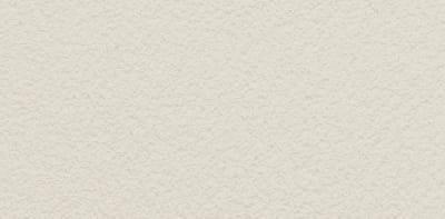 PASPREMIUM  Tynk silikonowy  1,5mm  kolor  LA81 opakowanie 30kg