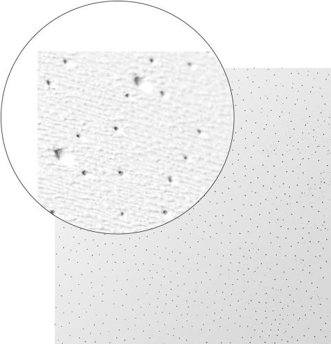 Panel sufitowy z płyty G-K CASOSTAR 600x1200x8 kolor biały NCS 0300