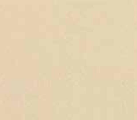 VISAGE tynk ozdobny CT60 0,5m Dominicana Beige 25kg