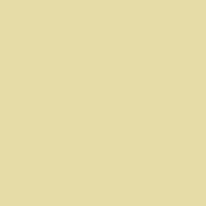 CT54 farba silikatowa  CEYLON3 gr.A 15L