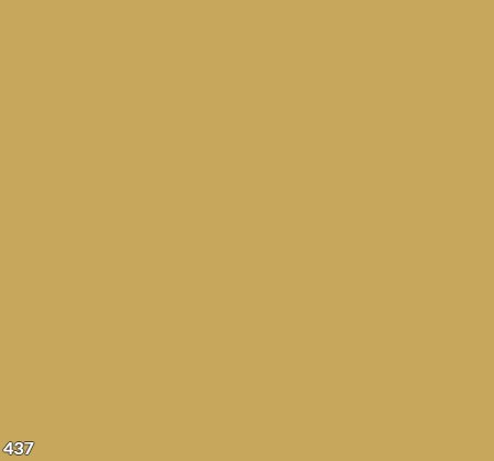 Farba akrylowa 437 gr.1 Top Star PRO 18kg