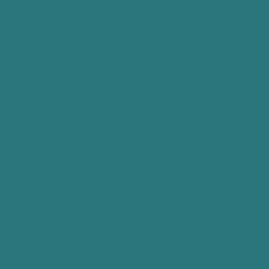 Tynk silikonowy CT74  kolor Caparol VERONA 95 1,5mm 25kg