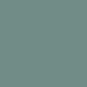 Tynk silikonowy CT74  kolor Caparol PATINA 5 1,5mm 25kg