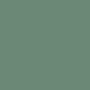 Tynk silikonowy CT74  kolor Caparol MINT 40 1,5mm 25kg