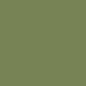 Tynk silikonowy CT74  kolor Caparol PINIE 40 1,5mm 25kg