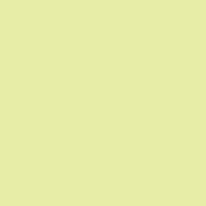 Tynk silikonowy CT74  kolor Caparol JADE 120 1,5mm 25kg