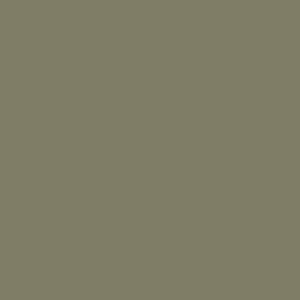 Tynk silikonowy CT74  kolor Caparol MAI 35 1,5mm 25kg