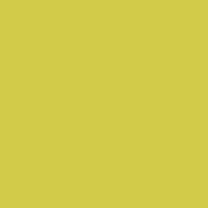 Tynk silikonowy CT74  kolor Caparol TUNDRA 135 1,5mm 25kg