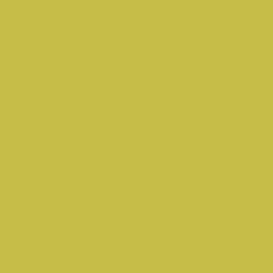 Tynk silikonowy CT74  kolor Caparol TUNDRA 130 1,5mm 25kg