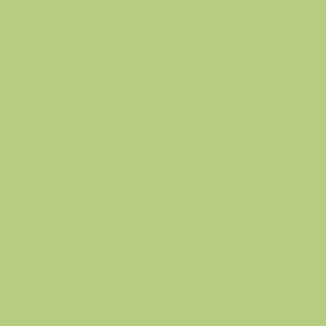 Tynk silikonowy CT74  kolor Caparol PINIE 110 1,5mm 25kg