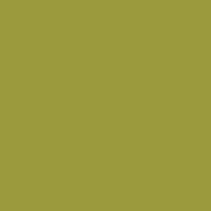 Tynk silikonowy CT74  kolor Caparol TUNDRA 125 1,5mm 25kg