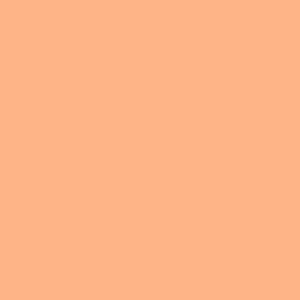Tynk silikonowy CT74  kolor Caparol PAPAYA 140 1,5mm 25kg