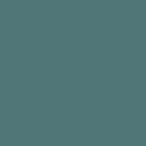 Tynk silikonowy CT74  kolor Caparol VERONA 100 1,5mm 25kg