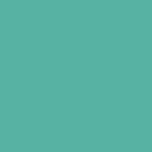 Tynk silikonowy CT74  kolor Caparol PATINA 115 1,5mm 25kg