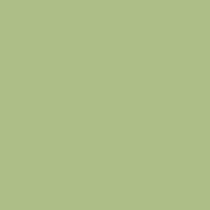 Tynk silikonowy CT74  kolor Caparol PINIE 80 1,5mm 25kg