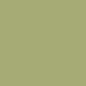 Tynk silikonowy CT74  kolor Caparol MAI 65 1,5mm 25kg