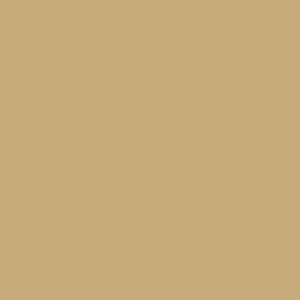 Tynk silikonowy CT74  kolor Caparol Palazzo 220 1,5mm 25kg
