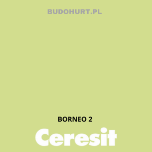 CT54 farba silikatowa BORNEO 2 gr.A 15L