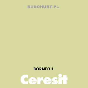 CT54 farba silikatowa BORNEO 1 gr.A 15L