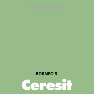 Tynk silikat-silikon CT174 MACHINE BORNEO 5 gr.B 1 mm 25kg