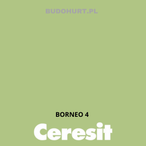 Tynk silikat-silikon CT174 MACHINE BORNEO 4 gr.B 1 mm 25kg