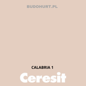 Kolor tynku CALABRIA 1