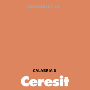 CT48 farba silikonowa CALABRIA 6 gr.E 15L