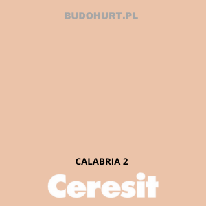 CT54 farba silikatowa CALABRIA 2 gr.A 15L