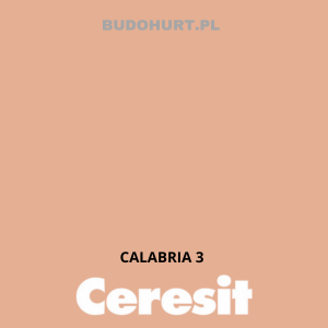 CT49 farba nanosilikonowa CALABRIA 3 gr.A/15L