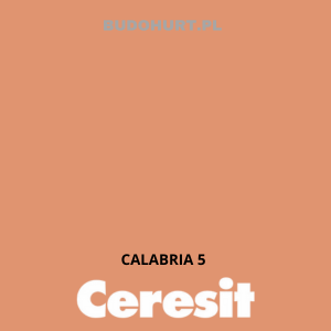 Tynk siliko-elastomerowy CT76  CALABRIA 5 gr.C 1,5mm 25kg