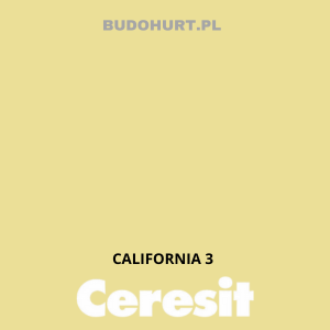 CT49 farba nanosilikonowa  CALIFORNIA 3 gr.A/15L