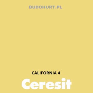 CT49 farba nanosilikonowa  CALIFORNIA 4 gr.A/15L