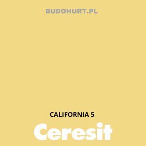CT49 farba nanosilikonowa  CALIFORNIA 5 gr.A/15L