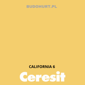 CT49 farba nanosilikonowa  CALIFORNIA 6  gr.A/15L