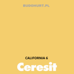 Tynk silikonowy CT74   CALIFORNIA 6 gr.C 1,5mm 25kg