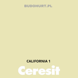CT54 farba silikatowa  CALIFORNIA1 gr.A 15L