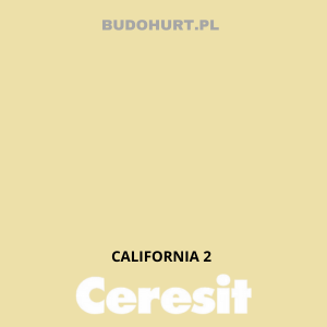 CT54 farba silikatowa  CALIFORNIA2 gr.A 15L